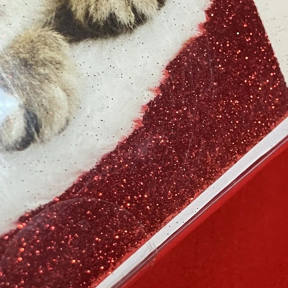 Design Christmas Cards / Kitten In Stocking / Glitter / Box of 20 / Sleeping Cat